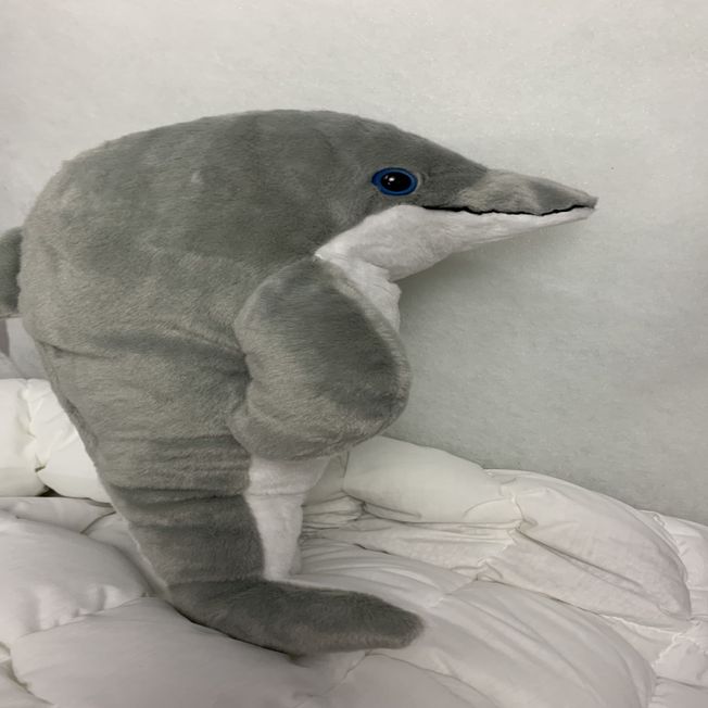 Weighted Dolphin 16